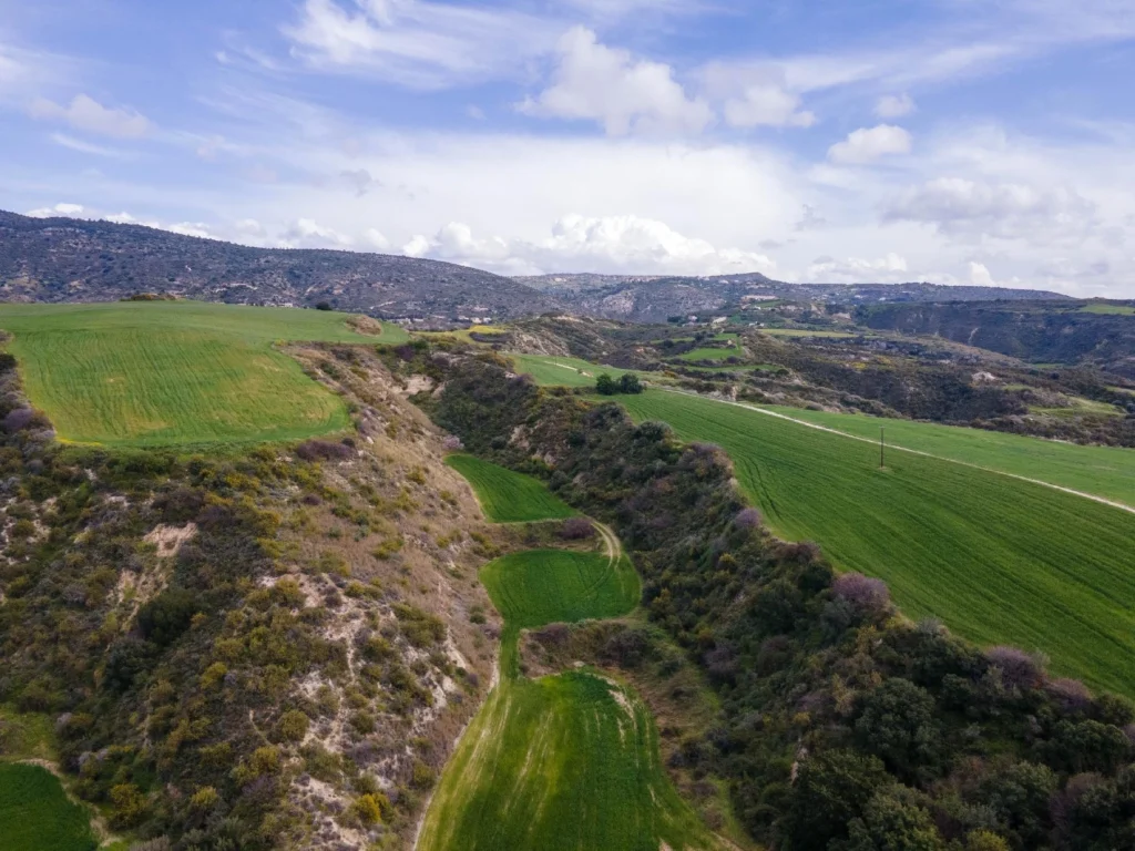 27,425m² Plot for Sale in Steni, Paphos District