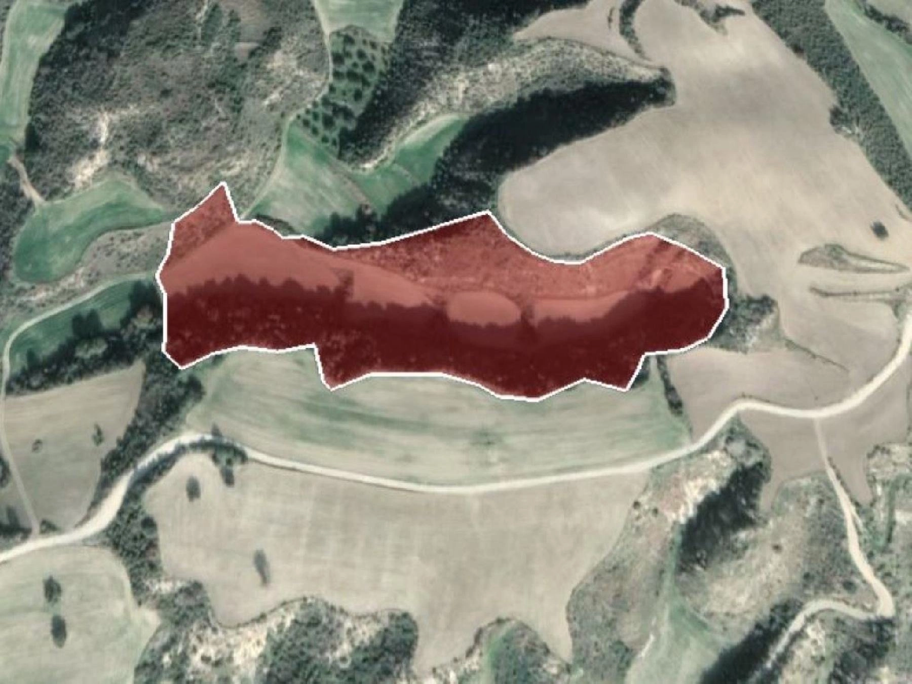 27,425m² Plot for Sale in Steni, Paphos District