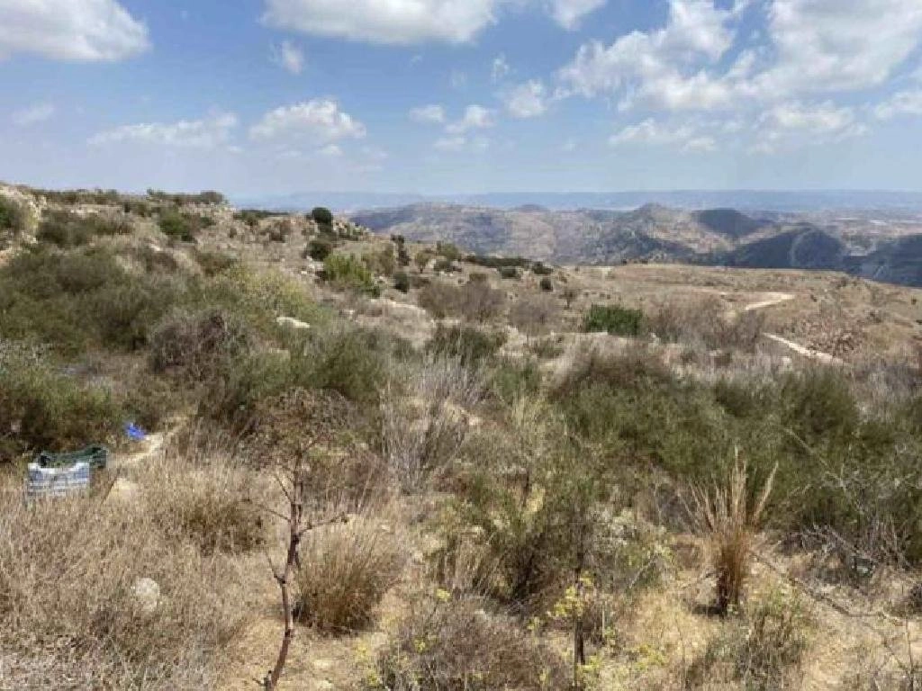 7,619m² Plot for Sale in Marathounta, Paphos District