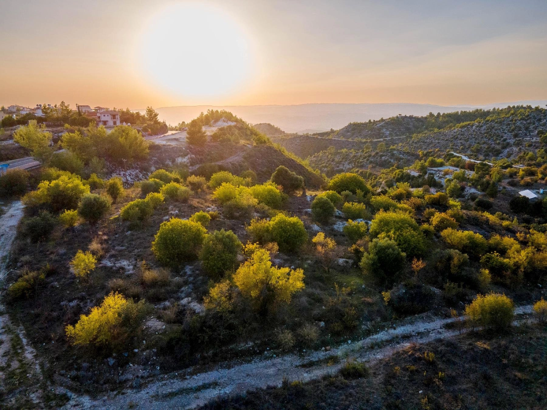 30,974m² Plot for Sale in Pentalia, Paphos District