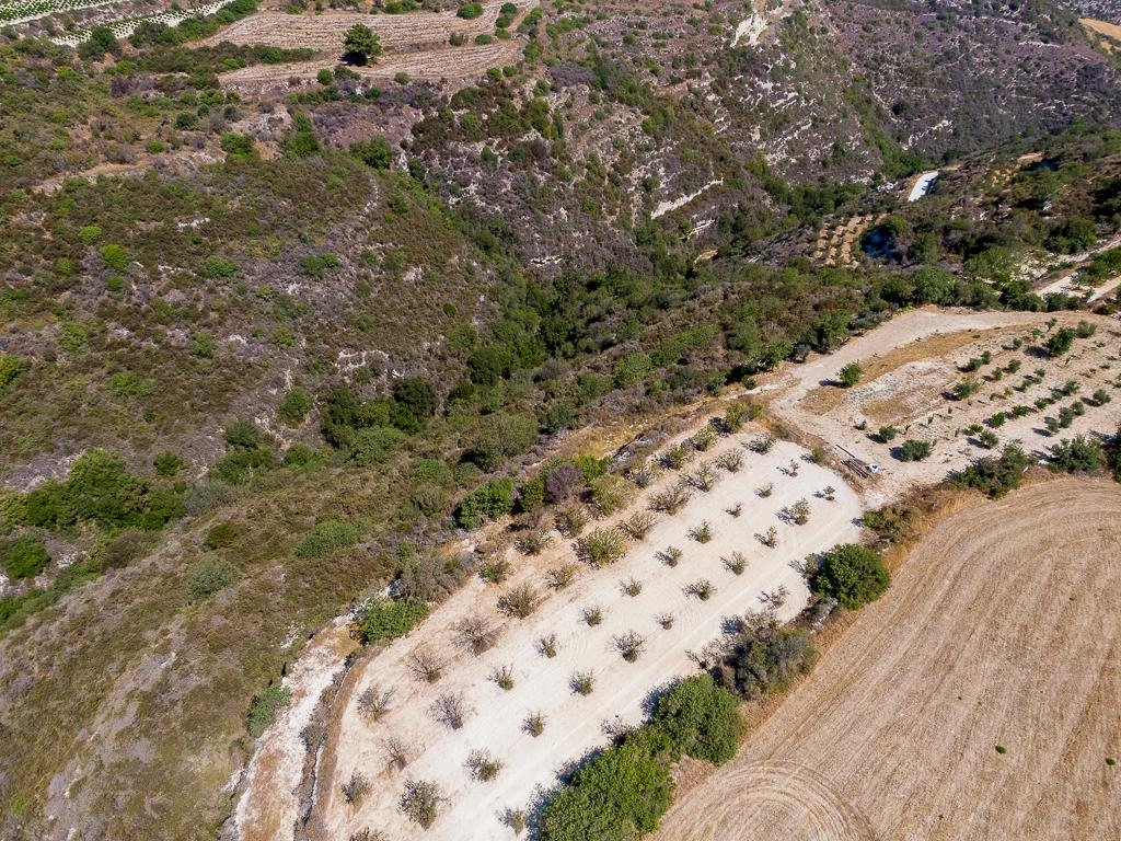 45,151m² Plot for Sale in Kritou Tera, Paphos District