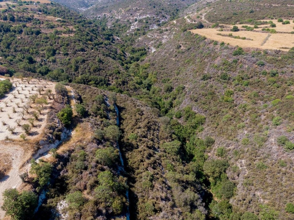 45,151m² Plot for Sale in Kritou Tera, Paphos District