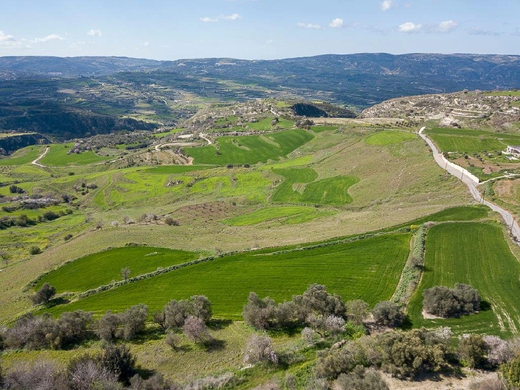 9,994m² Plot for Sale in Paphos District