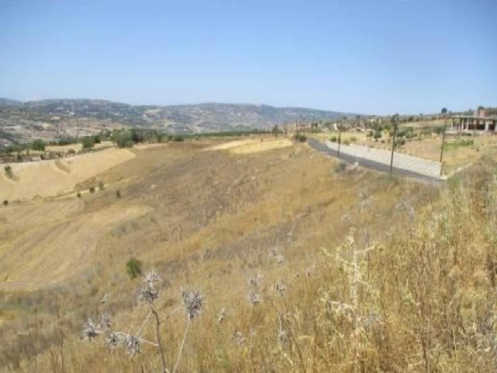 9,994m² Plot for Sale in Paphos District
