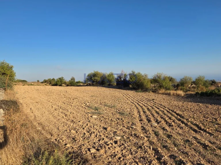 14,047m² Plot for Sale in Pachna, Limassol District