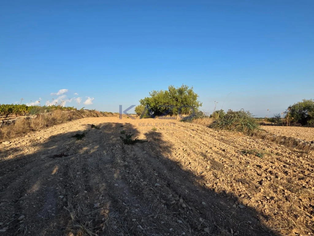 14,047m² Plot for Sale in Pachna, Limassol District