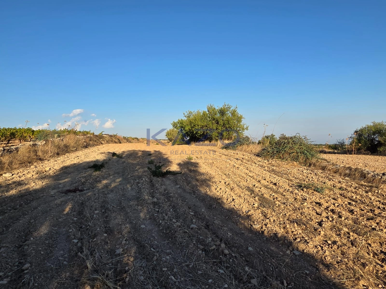 14,047m² Plot for Sale in Pachna, Limassol District