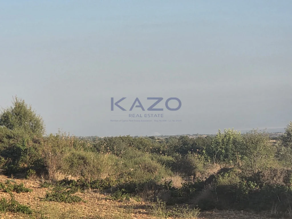14,047m² Plot for Sale in Pachna, Limassol District