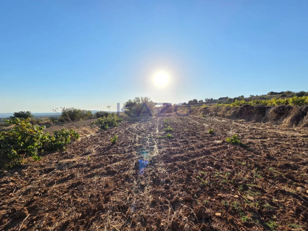 14,047m² Plot for Sale in Pachna, Limassol District