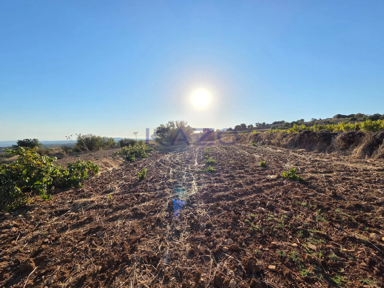 14,047m² Plot for Sale in Pachna, Limassol District