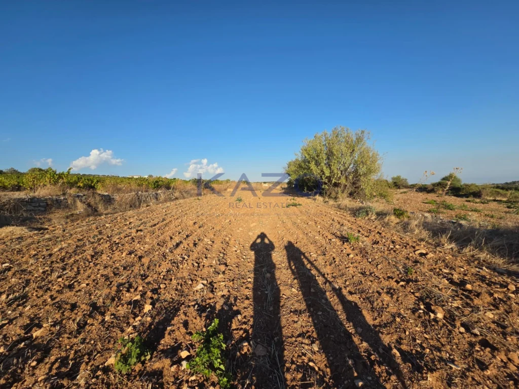 14,047m² Plot for Sale in Pachna, Limassol District