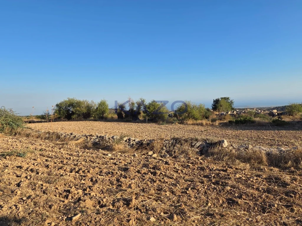 14,047m² Plot for Sale in Pachna, Limassol District