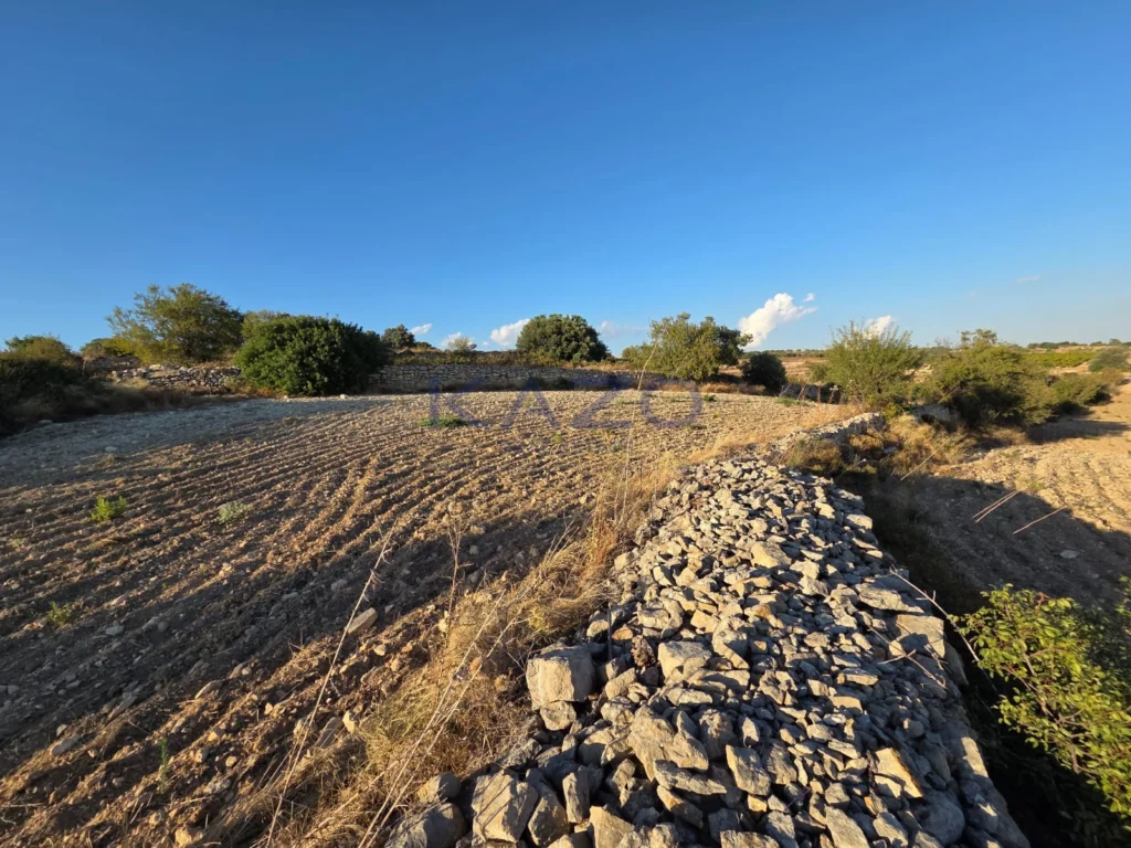 17,243m² Plot for Sale in Pachna, Limassol District