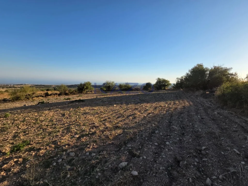 17,243m² Plot for Sale in Pachna, Limassol District