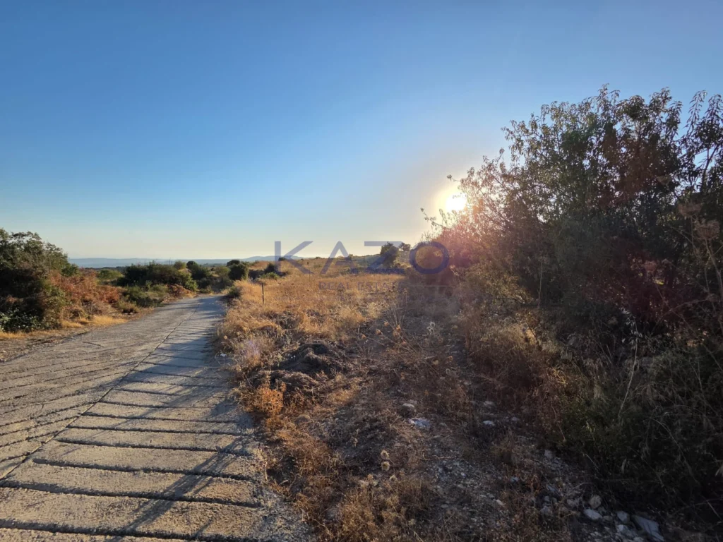 17,243m² Plot for Sale in Pachna, Limassol District