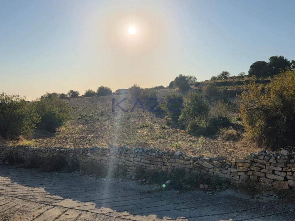 17,243m² Plot for Sale in Pachna, Limassol District