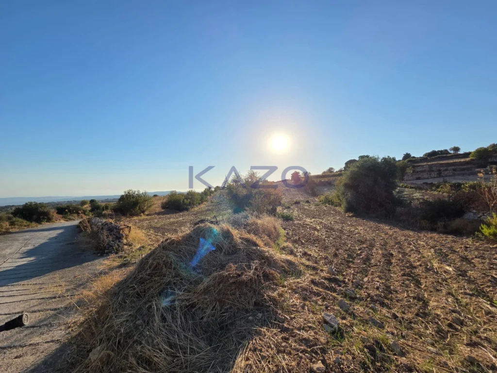 17,243m² Plot for Sale in Pachna, Limassol District