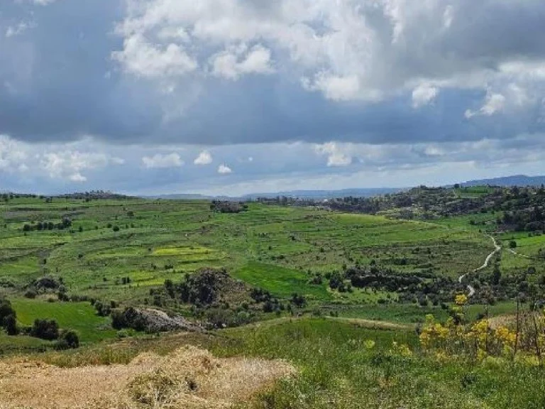 14,911m² Plot for Sale in Paphos District