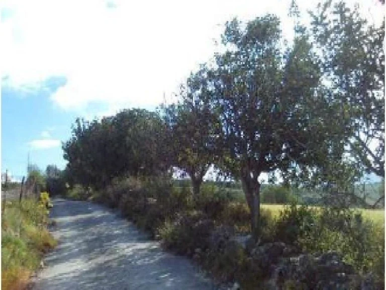 16,723m² Plot for Sale in Paphos District