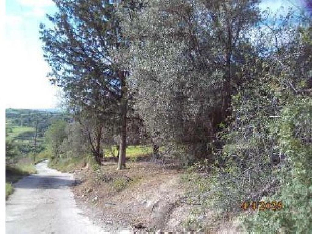 16,723m² Plot for Sale in Paphos District