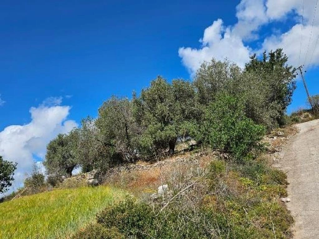 16,723m² Plot for Sale in Paphos District
