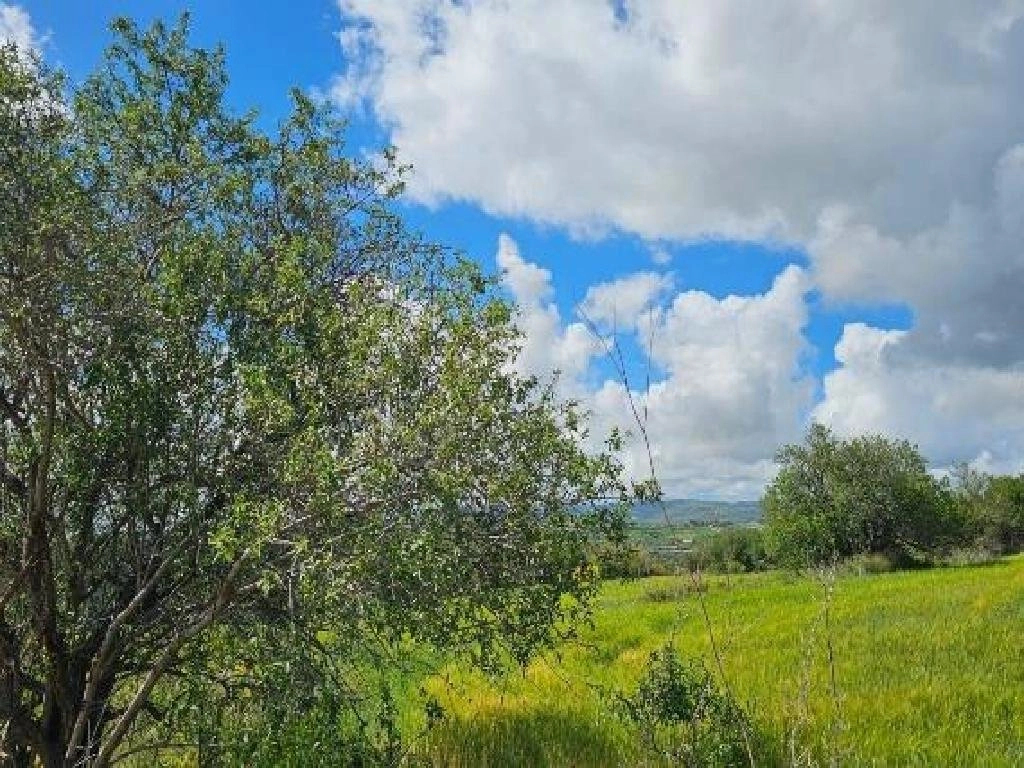 16,723m² Plot for Sale in Paphos District
