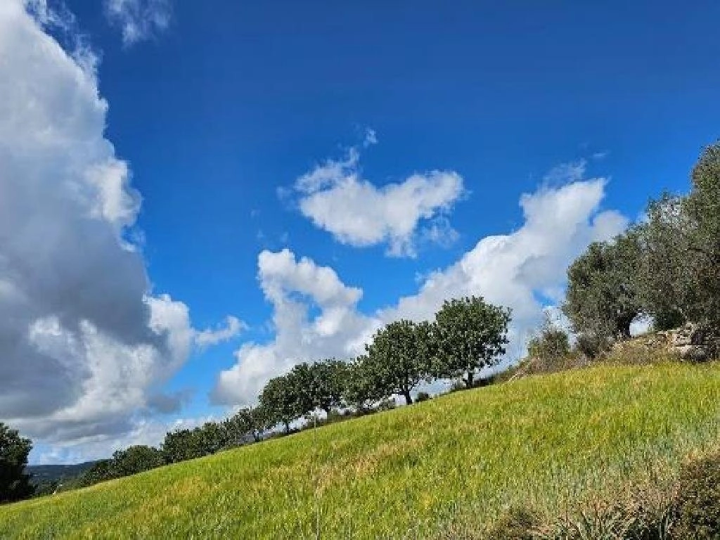 16,723m² Plot for Sale in Paphos District