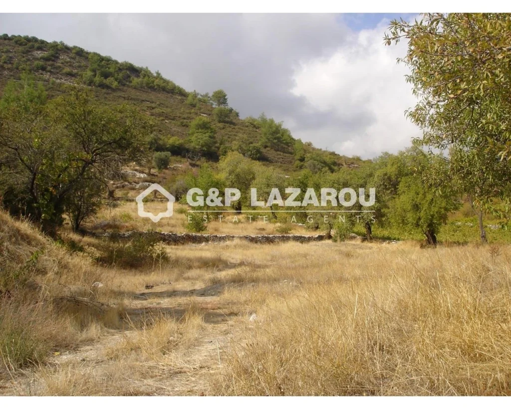 6,523m² Plot for Sale in Pera Pedi, Limassol District