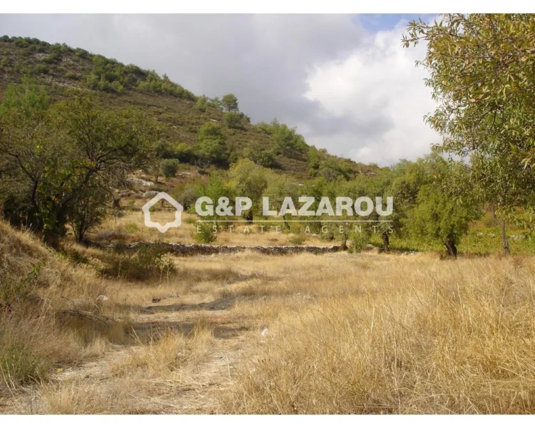 6,523m² Plot for Sale in Pera Pedi, Limassol District