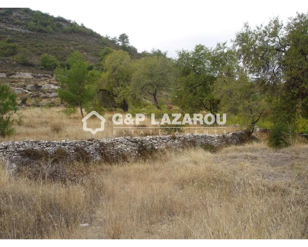 6,523m² Plot for Sale in Pera Pedi, Limassol District