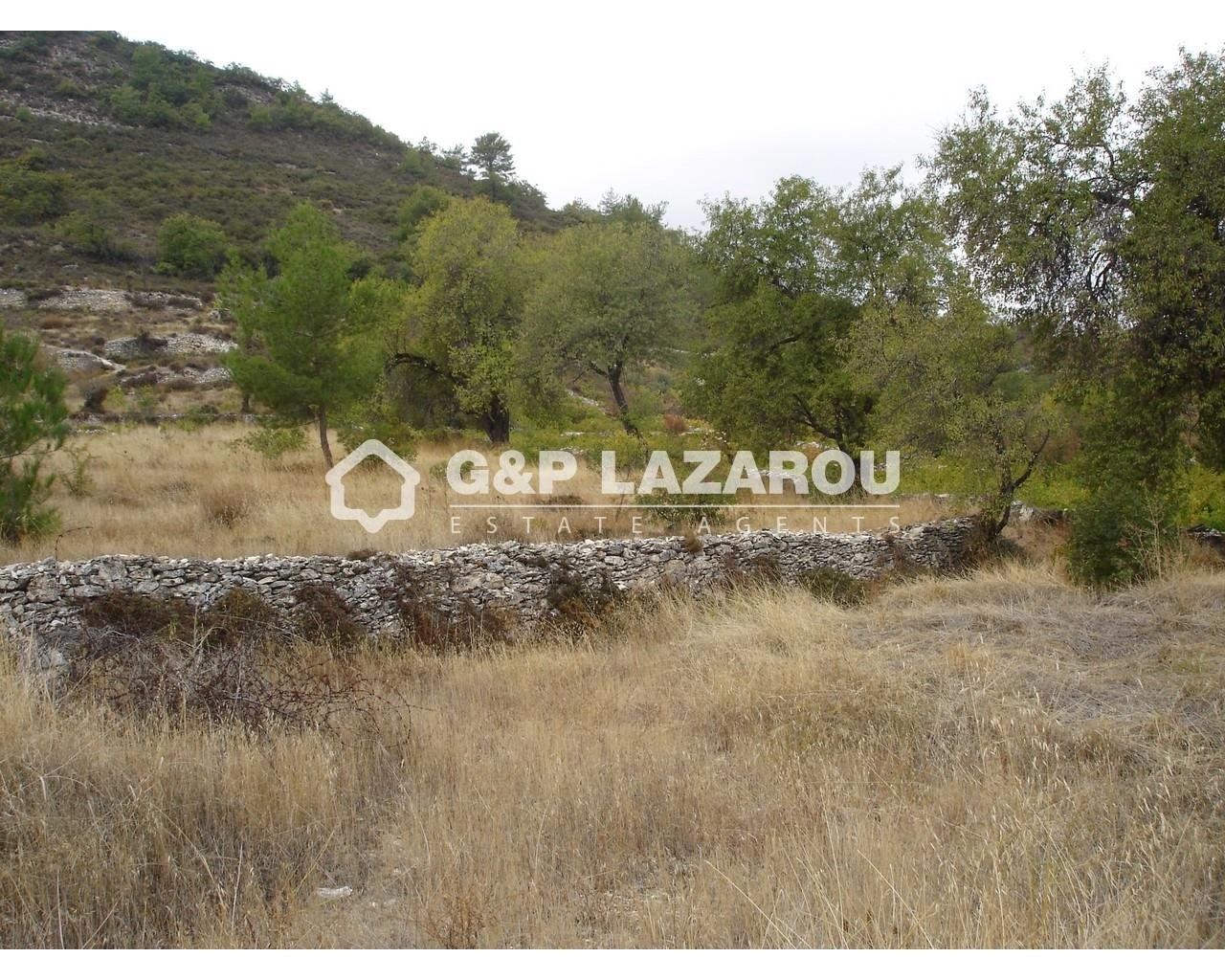 6,523m² Plot for Sale in Pera Pedi, Limassol District