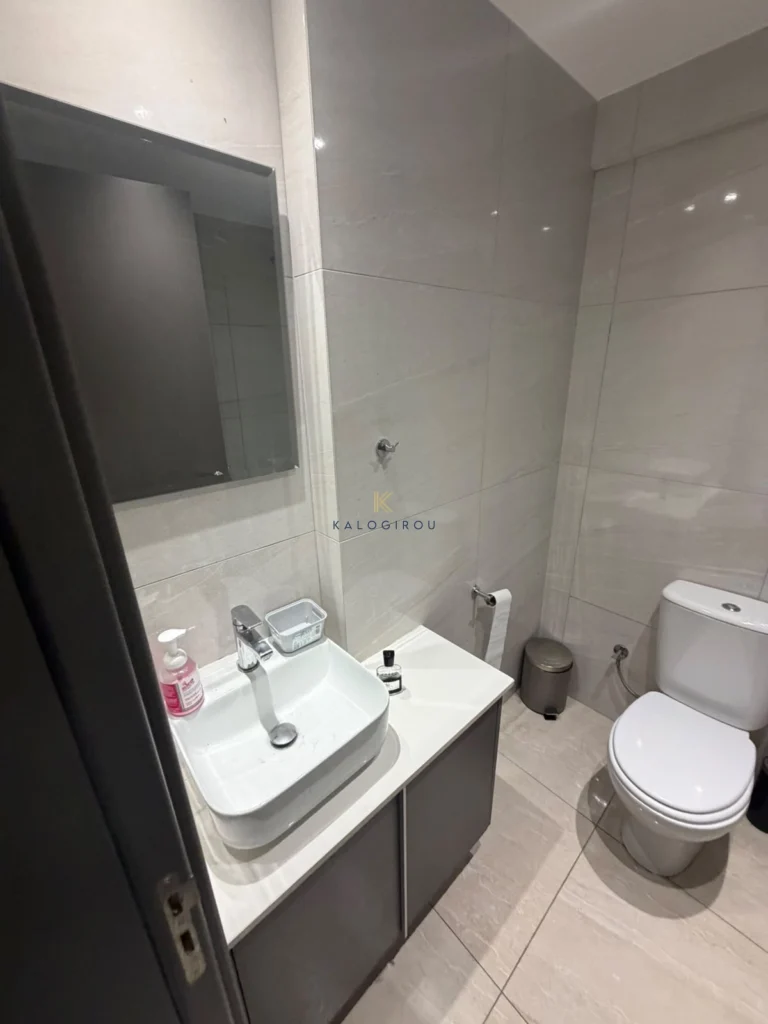 2 Bedroom Apartment for Rent in Larnaca District
