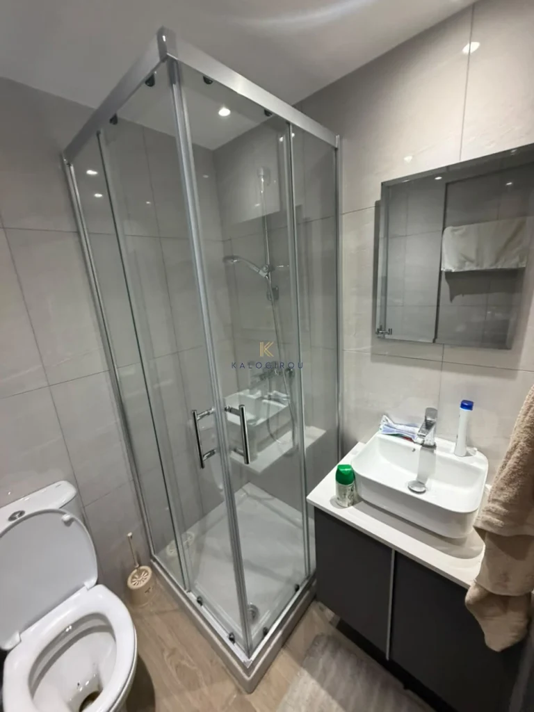 2 Bedroom Apartment for Rent in Larnaca District