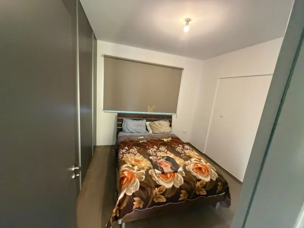2 Bedroom Apartment for Rent in Larnaca District