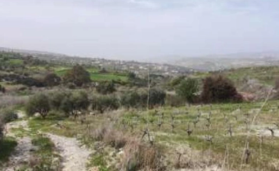 8,362m² Plot for Sale in Paphos District