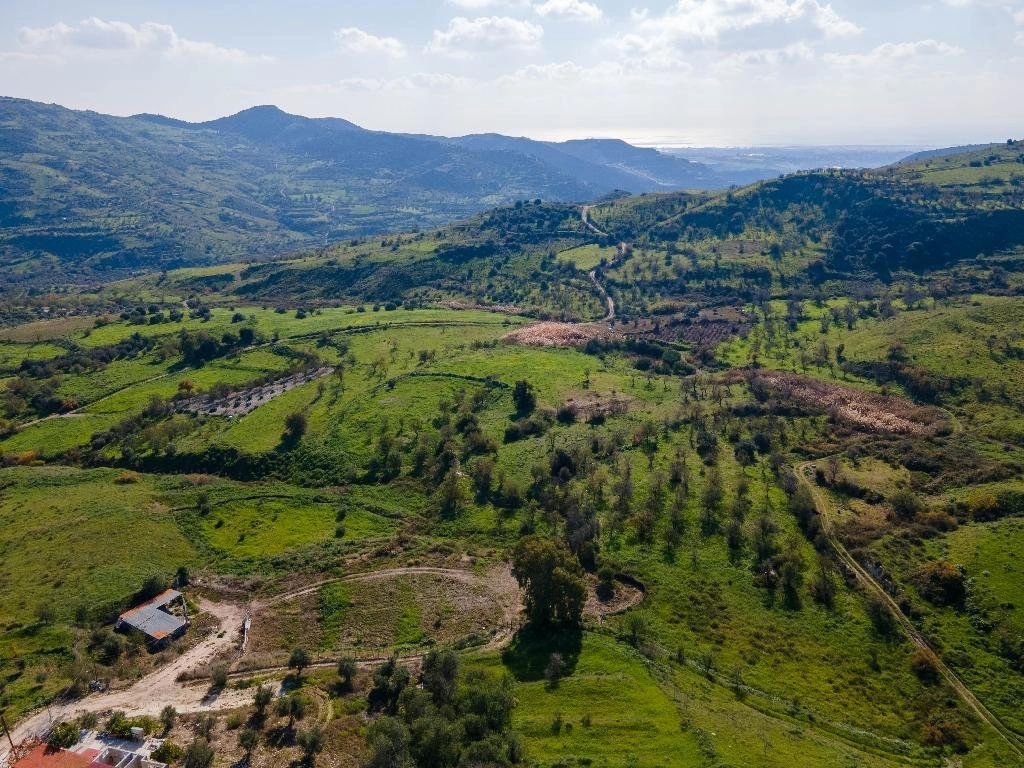 14,416m² Plot for Sale in Episkopi, Paphos District