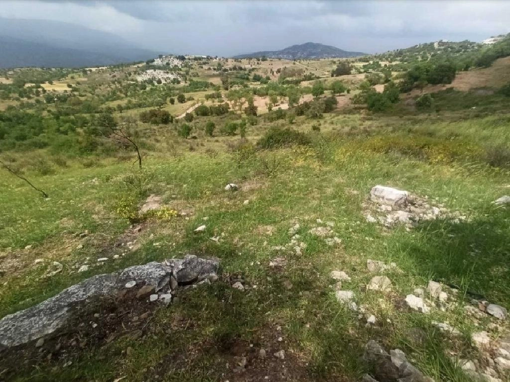 18,397m² Plot for Sale in Kelokedara, Paphos District