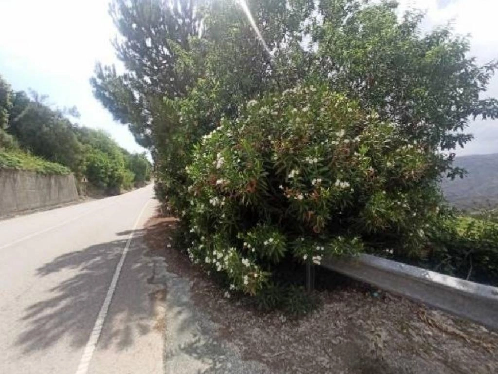 18,397m² Plot for Sale in Kelokedara, Paphos District