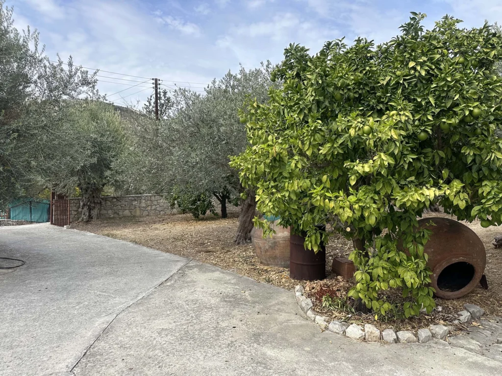 4 Bedroom House for Sale in Silikou, Limassol District