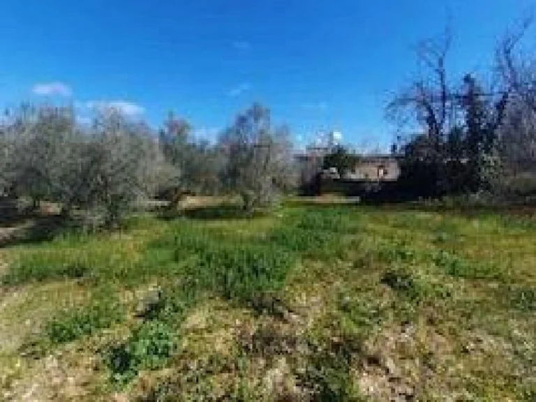 1,228m² Plot for Sale in Koili, Paphos District