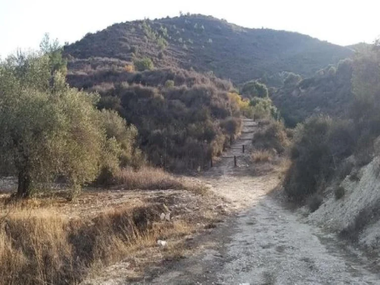 18,061m² Plot for Sale in Asgata, Limassol District