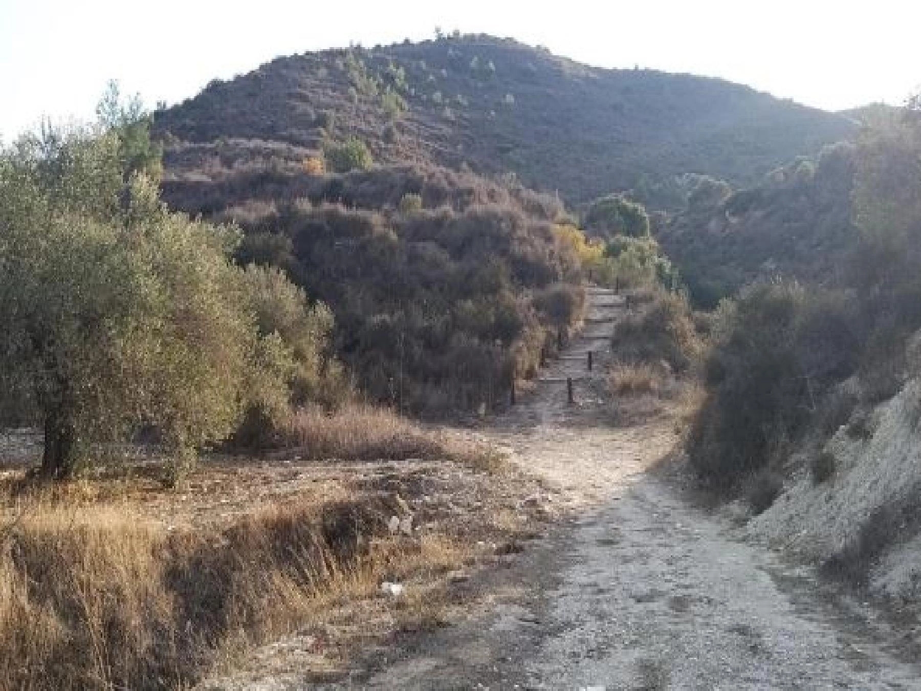 18,061m² Plot for Sale in Asgata, Limassol District