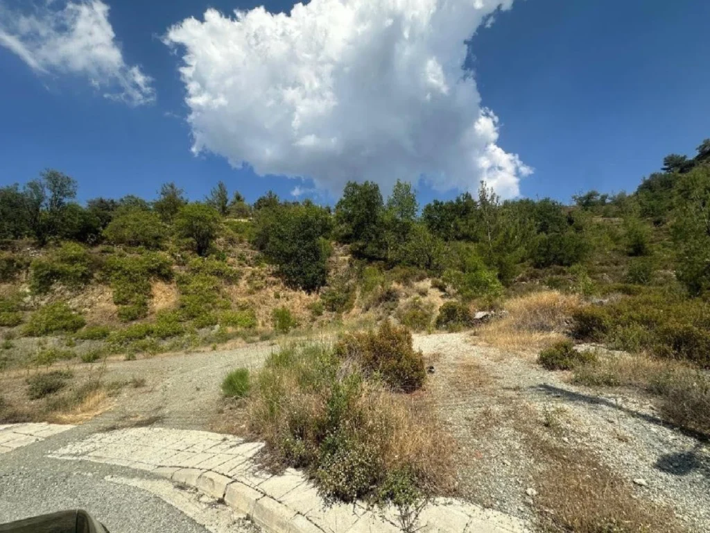 3,060m² Plot for Sale in Agros, Limassol District