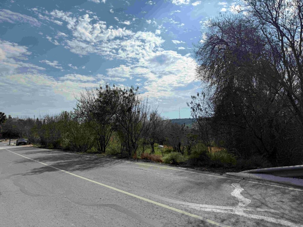1,338m² Plot for Sale in Armou, Paphos District