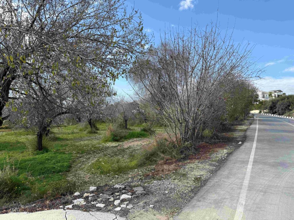 1,338m² Plot for Sale in Armou, Paphos District