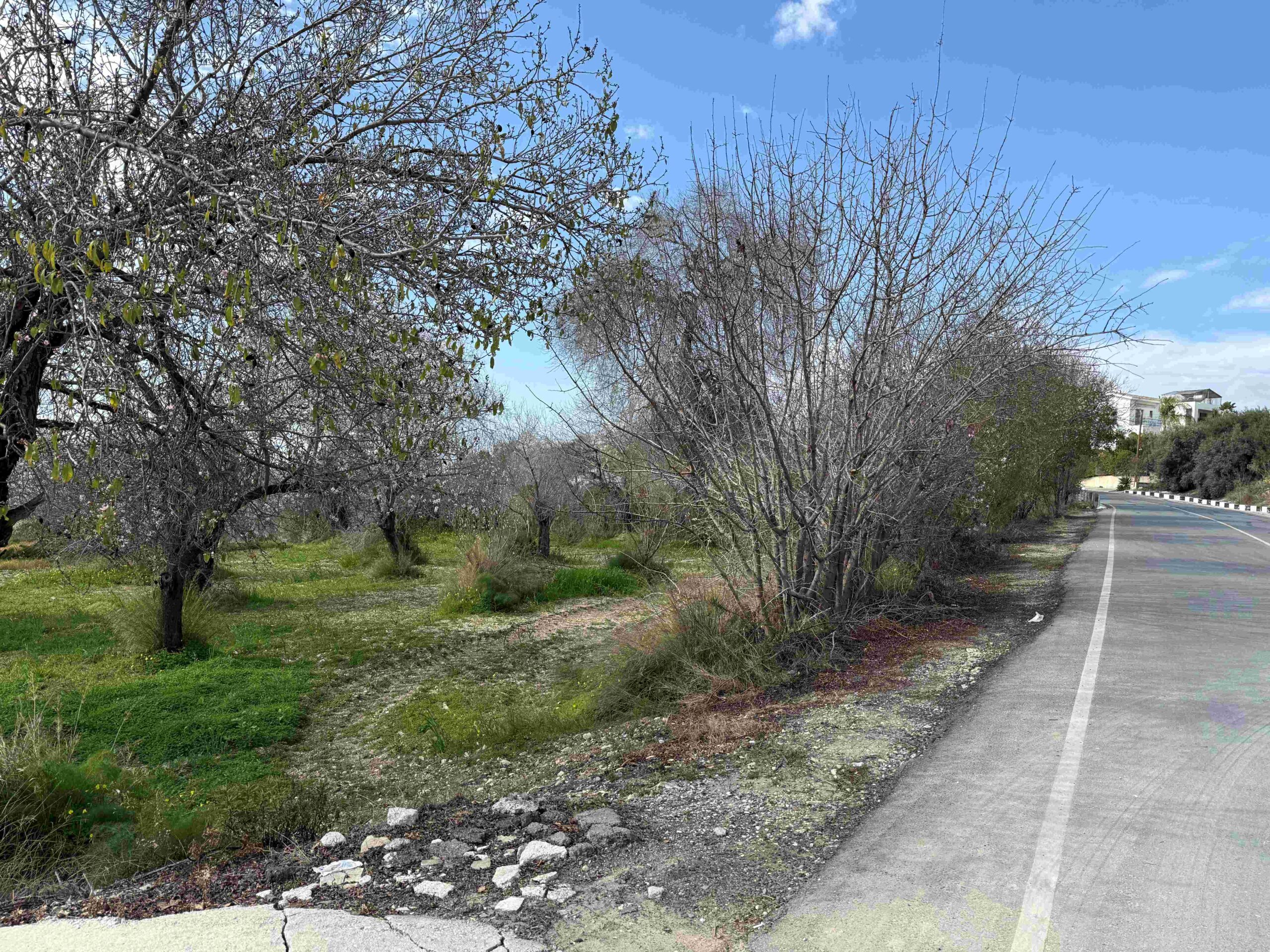 1,338m² Plot for Sale in Armou, Paphos District
