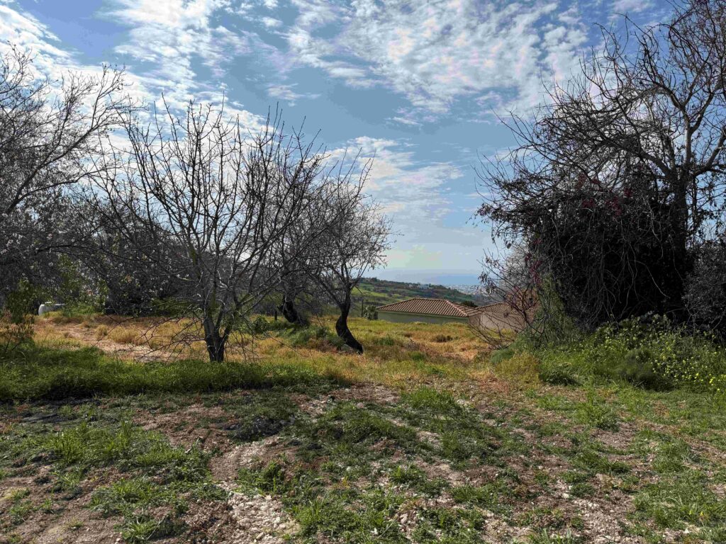1,338m² Plot for Sale in Armou, Paphos District