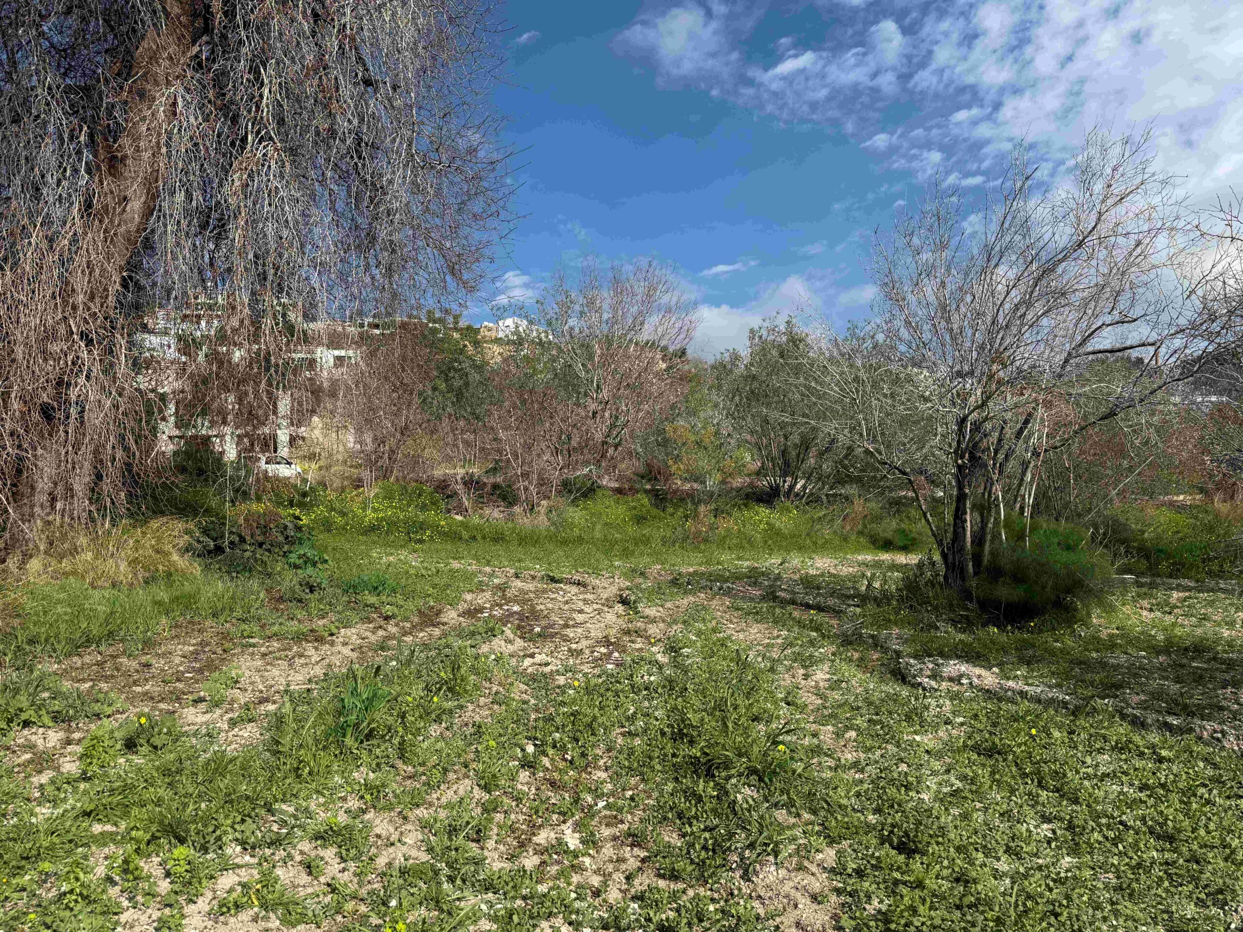 1,338m² Plot for Sale in Armou, Paphos District