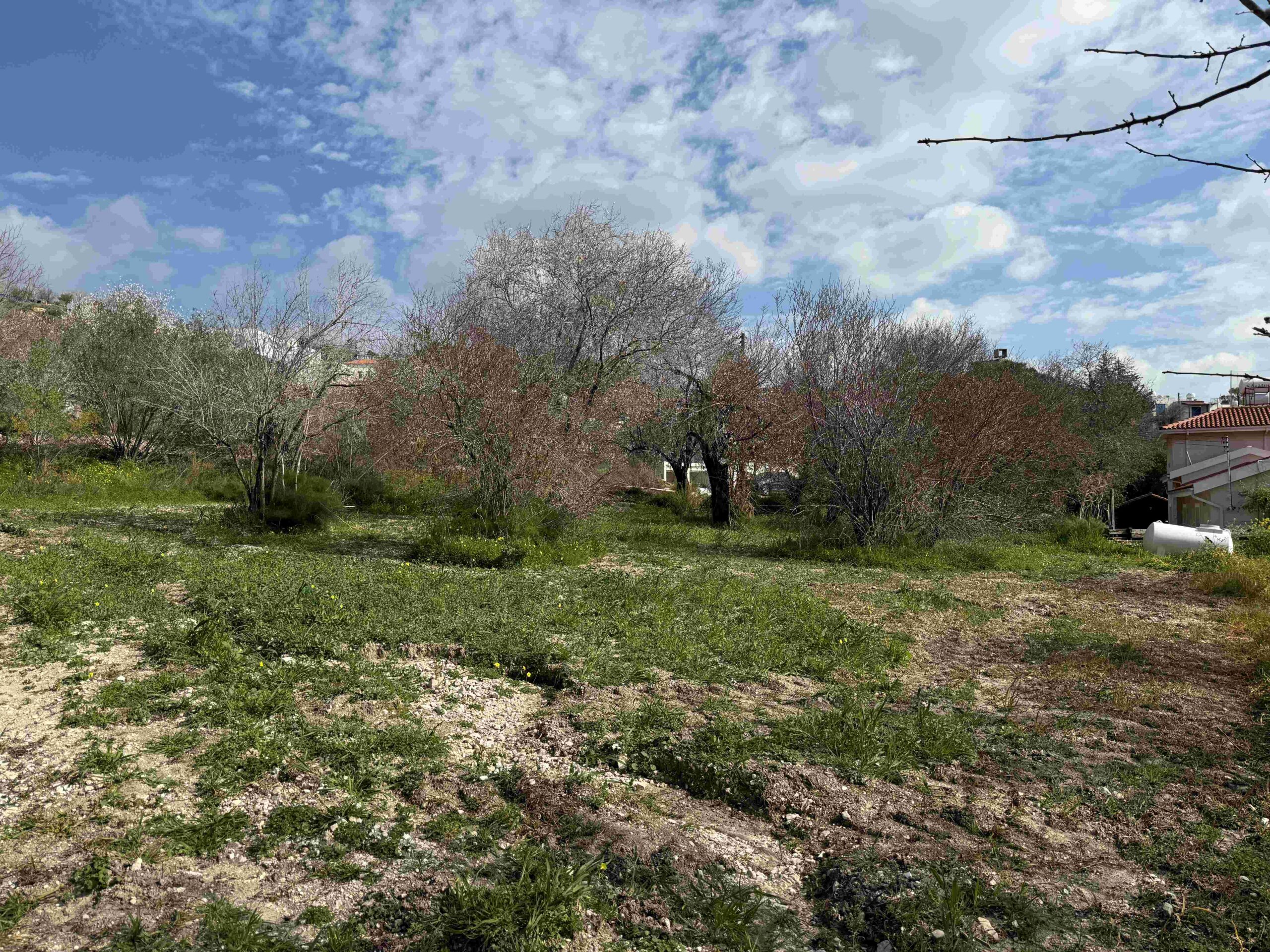 1,338m² Plot for Sale in Armou, Paphos District
