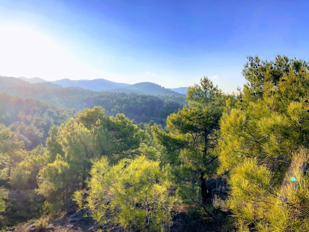 5,108m² Plot for Sale in Politiko, Nicosia District